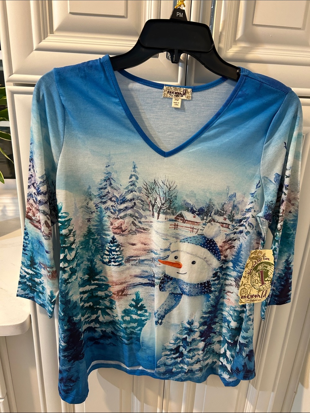 ONE WORLD Blue Snowman V-Neck Long Sleeve Tee